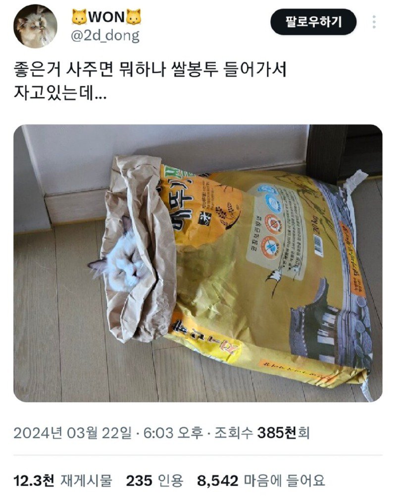 고양이한테 좋은 거 사주면 뭐하나