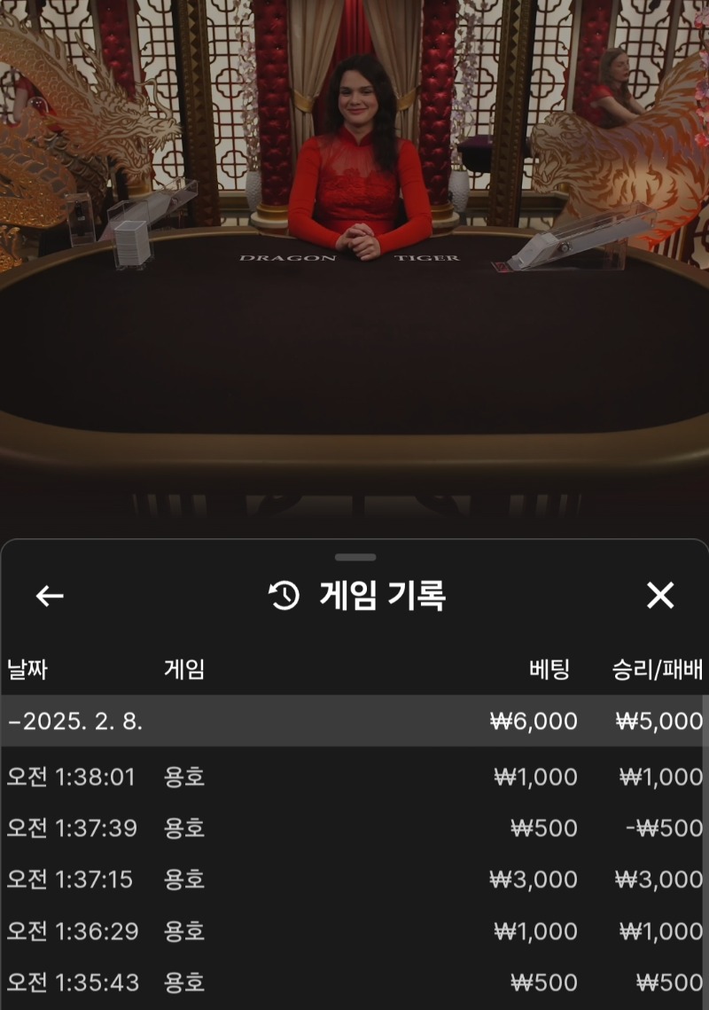 용호는 6매 미러 반픽이 답이네ㅋ