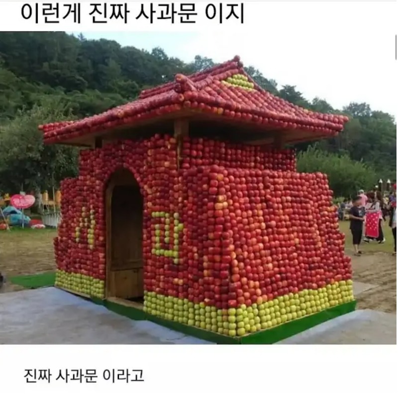 진정한 사과문