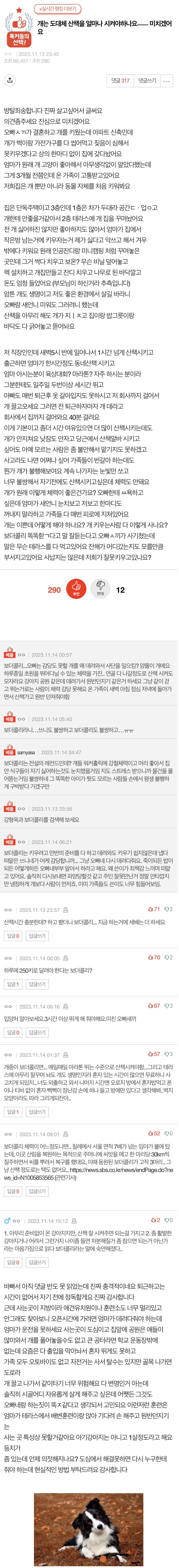 개는 도대체 산책을 얼마나 시켜야하나요ㅡ 미치겠어요