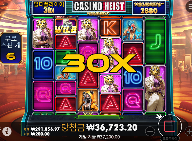 간만에x3 乃 카헤 526배