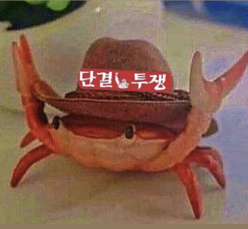 집게 부활!