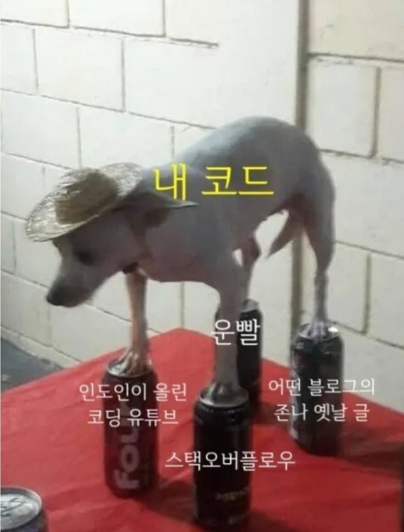 내 코딩을 지탱해주는 친구들