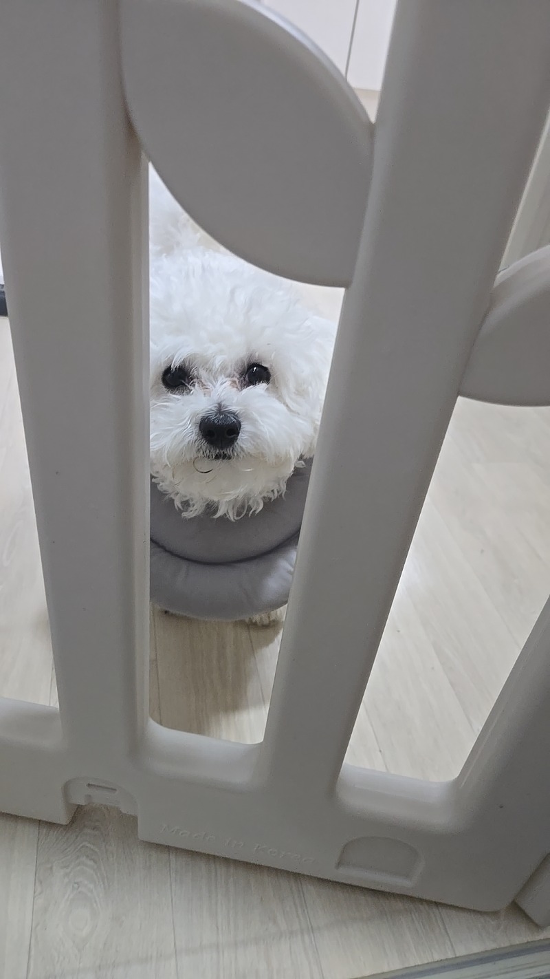 형아들