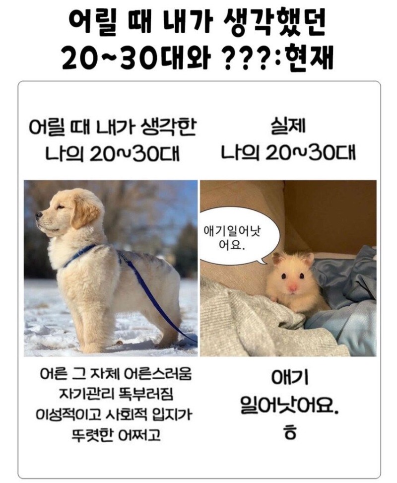 어릴때 생각했던 2,30대와 현재