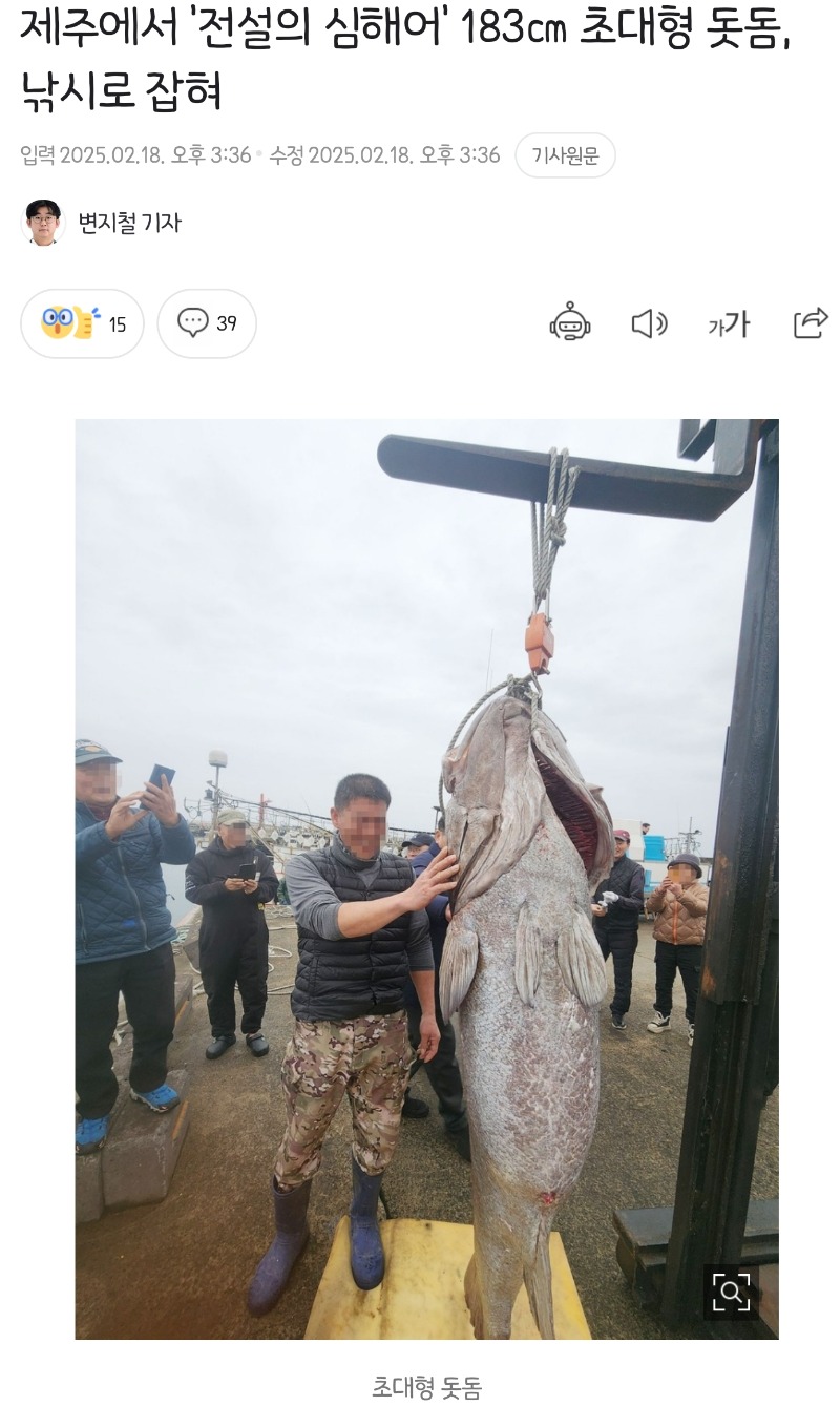 제주에서 돗돔 잡았네요