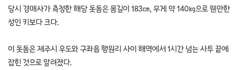 제주에서 돗돔 잡았네요
