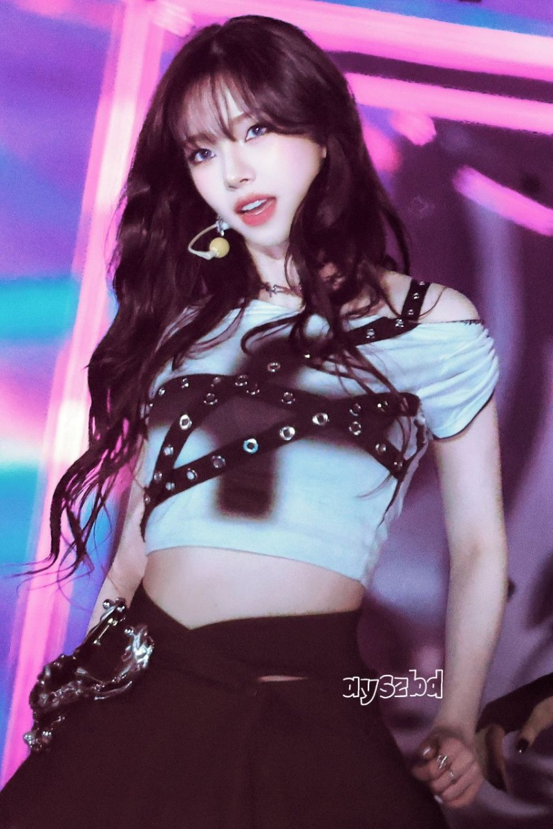 캐리나