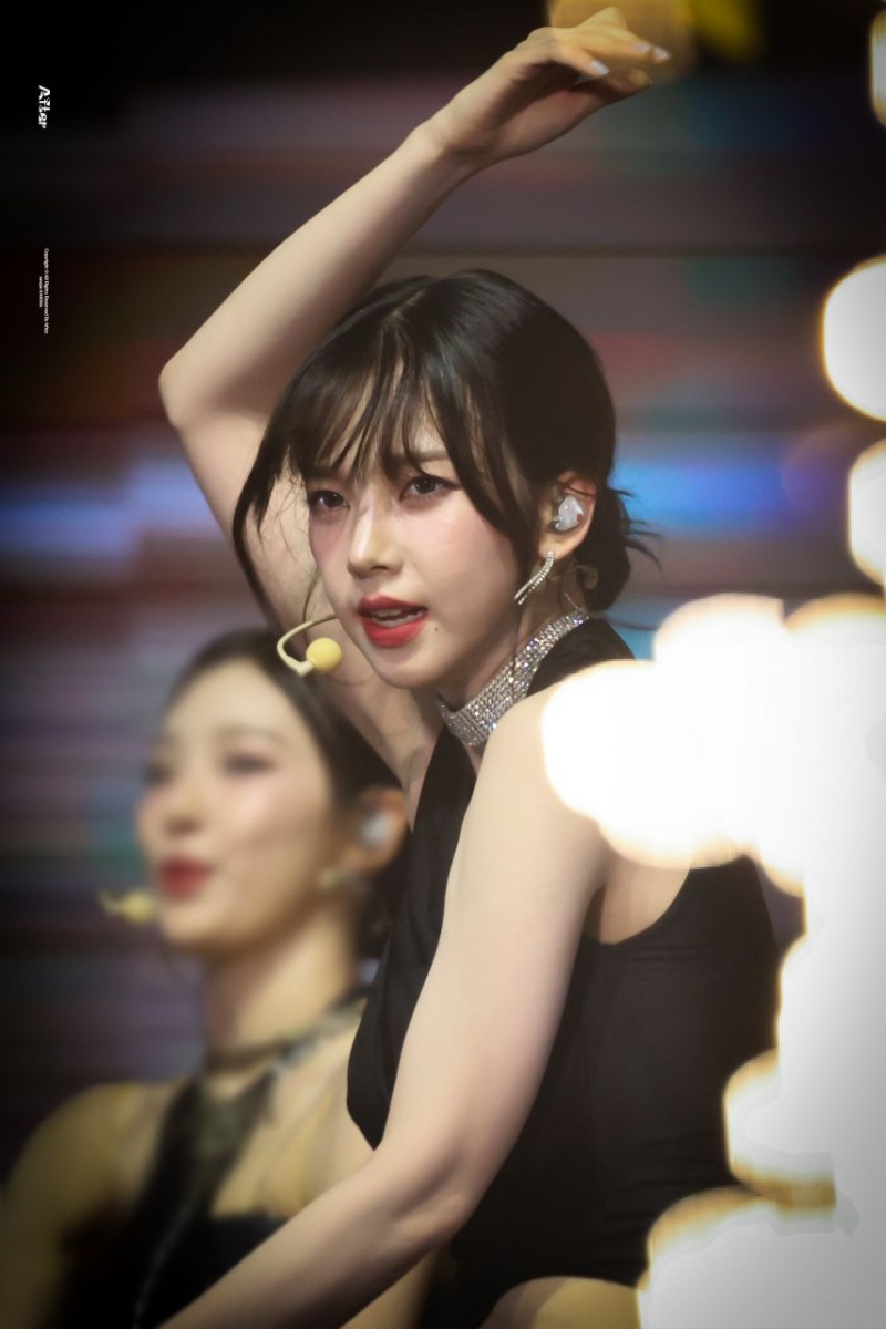 캐리나