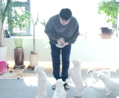 아까 이야기하신 게임 ㅋㅋ 만만형이 하네요 ㅋㅋ