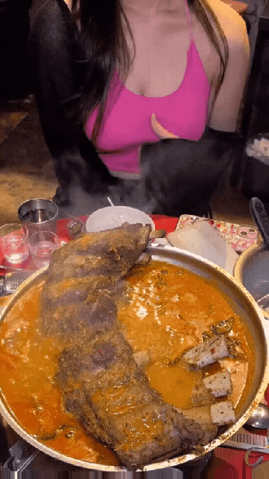 맛 점 띠
