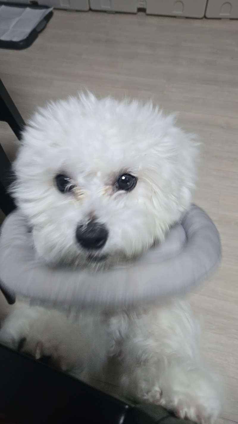 간식을 원하는 그의모습
