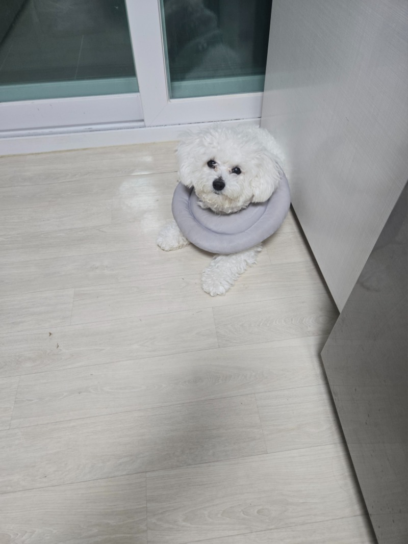 으휴