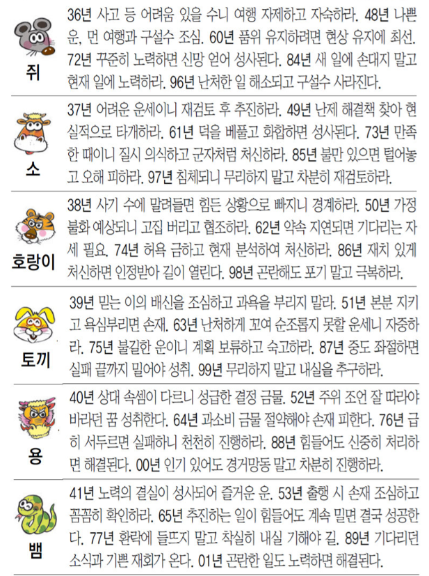 3일 오늘의운세