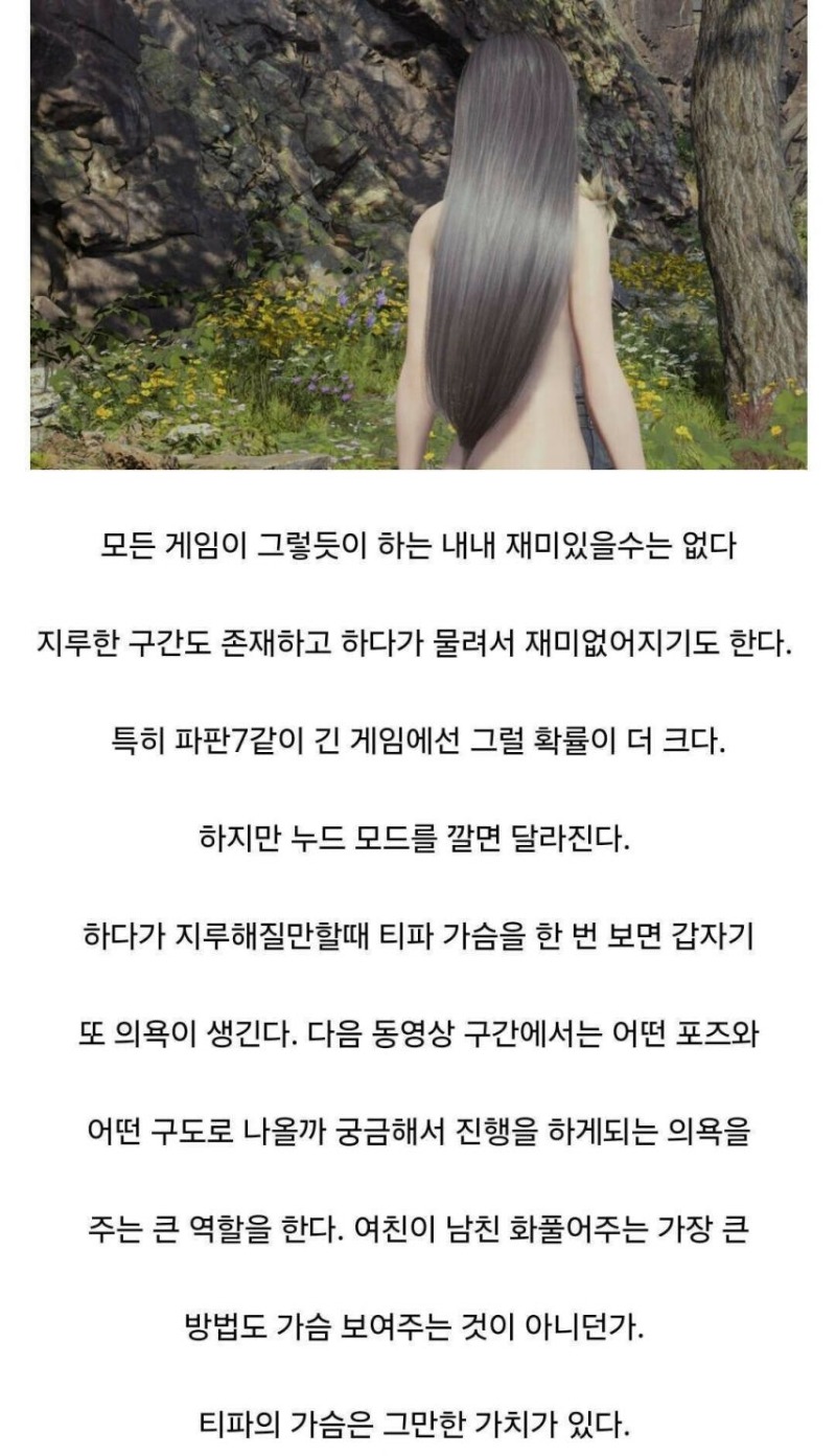 누드모드를 깔고 게임하는 이유