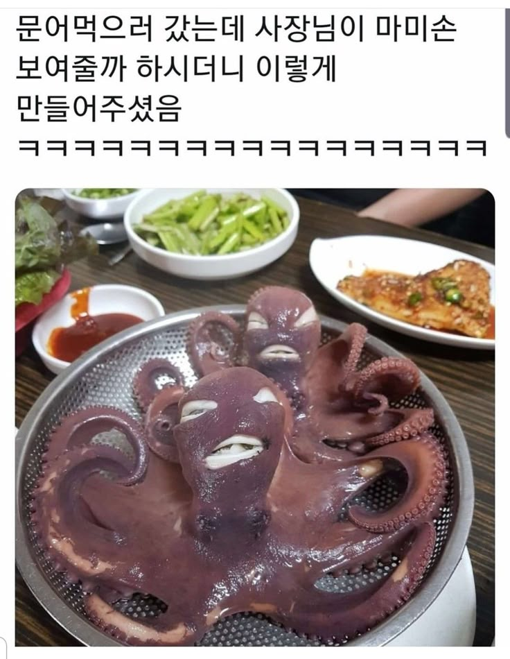 마미손이 요깃넹