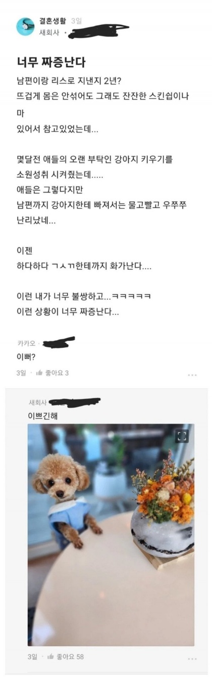 남편이 강아지한테 빠짐