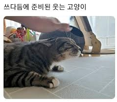 쓰담 준비