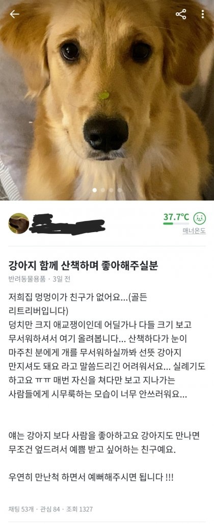 친구 없어 슬픈 골댕