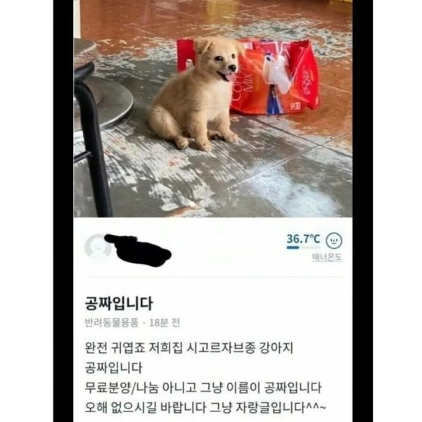 시고르자브종