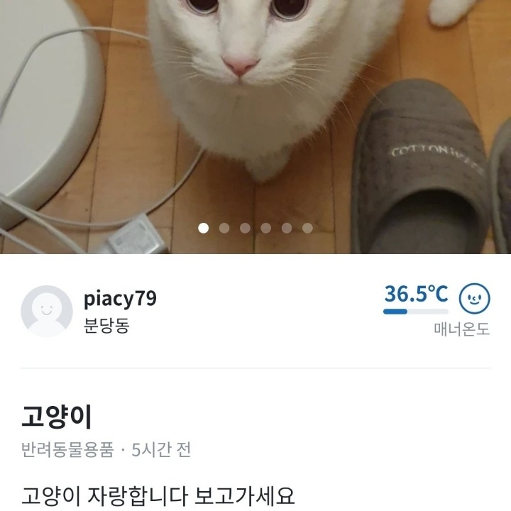 고양이 자랑