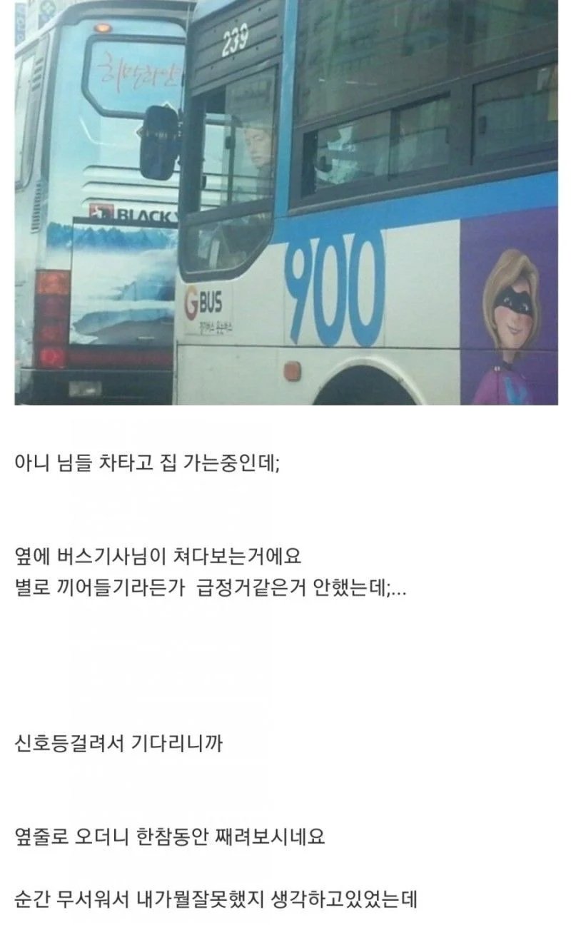 버스기사가 째려봐요