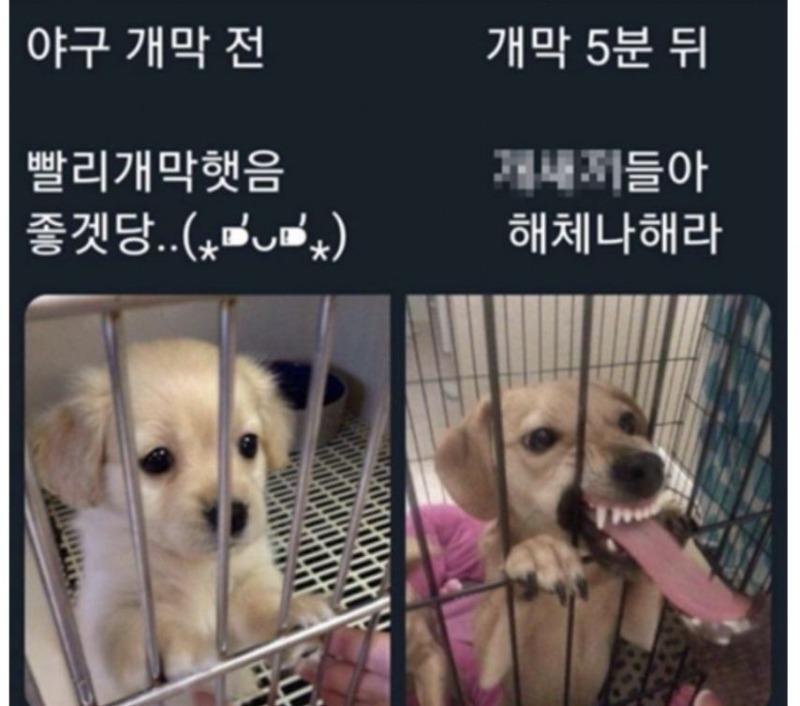 야구개막