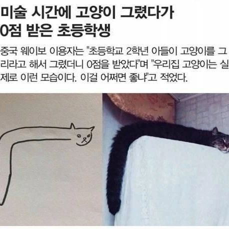 저는 똑같이.그렸는데요?ㅠㅠ