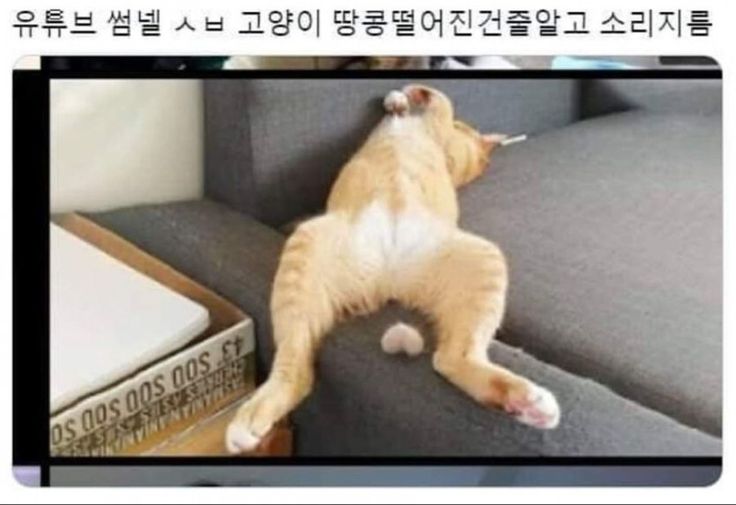 ㄱ...충격과 공포였던 썰