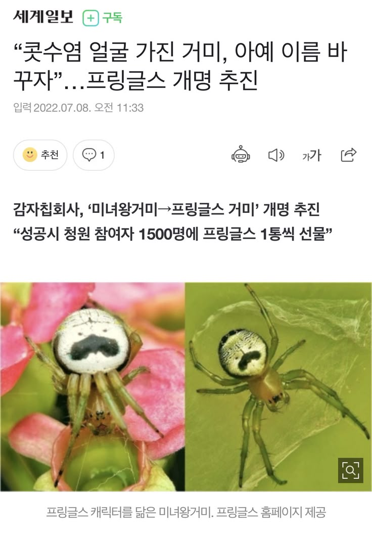 개명ㄱㅈㅇ