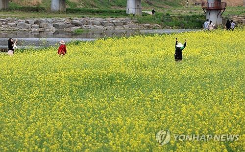 날씨가 너무좋네요...
