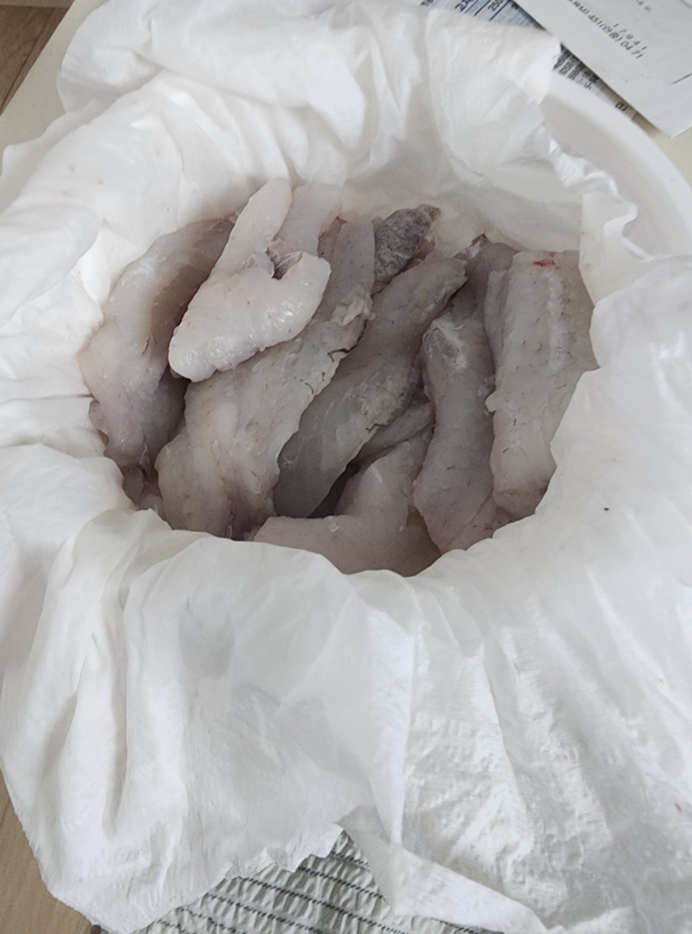 오늘도 제 친구들