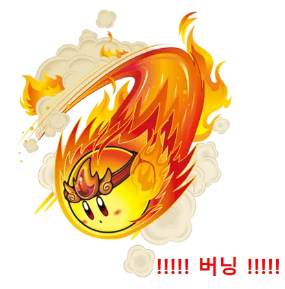 버닝아 와라