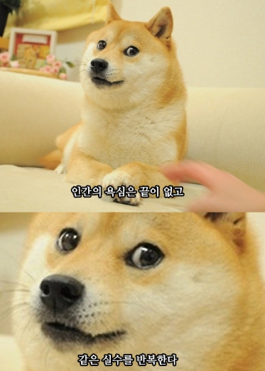 그놈의 욕심