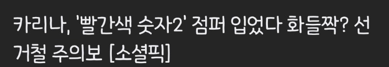 카리나 논란