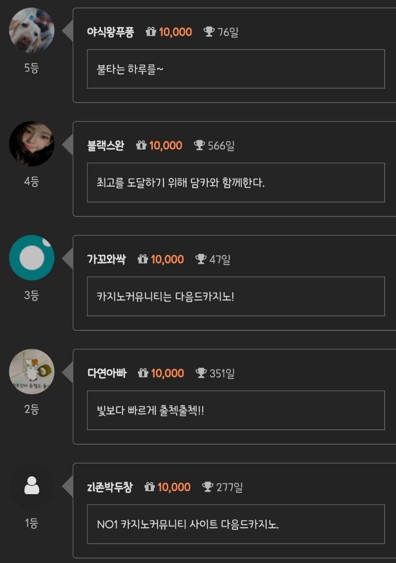순방 나이서 ㅅㅅ