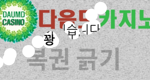 1일 마지막날