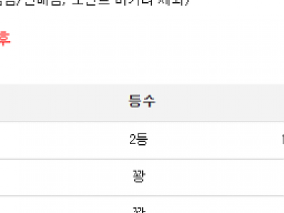 캡처.PNG