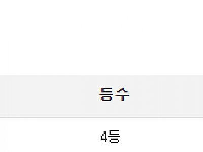 캡처.PNG