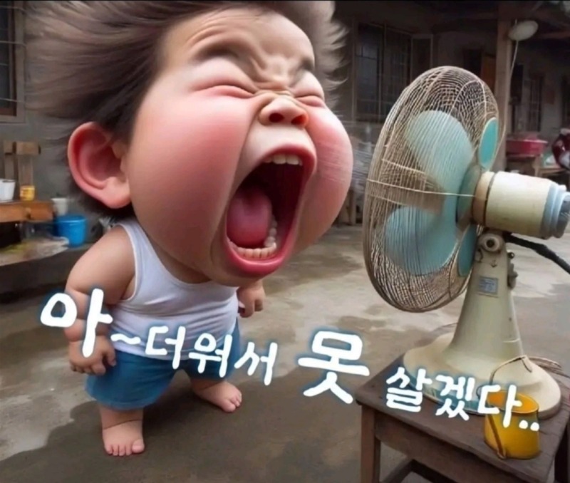개 덥다 진심