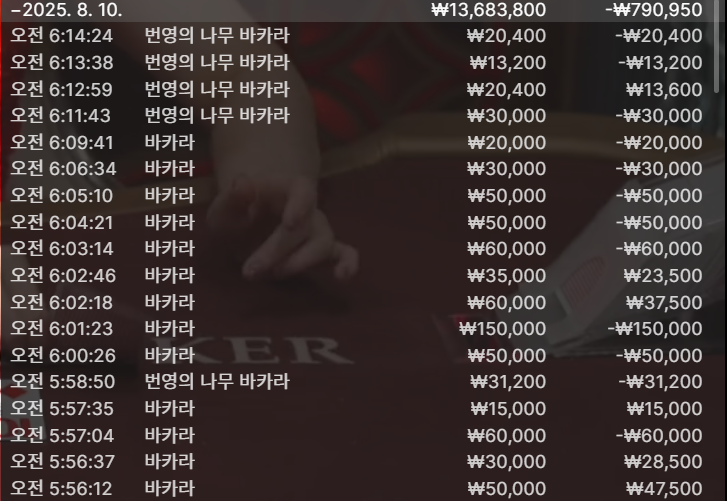 문카지노 후기