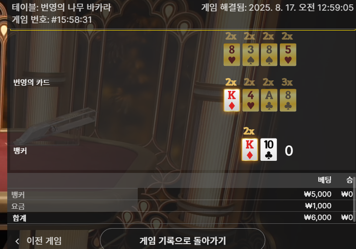 문카지노 후기