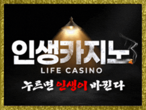 인생카지노.gif
