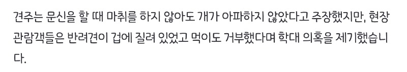 중국 개 학대 논란