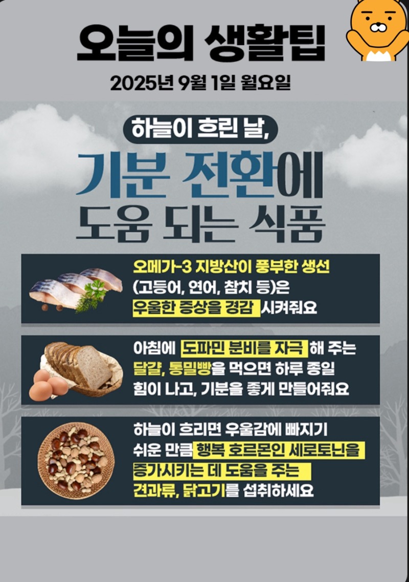 오늘의 생활꿀팁