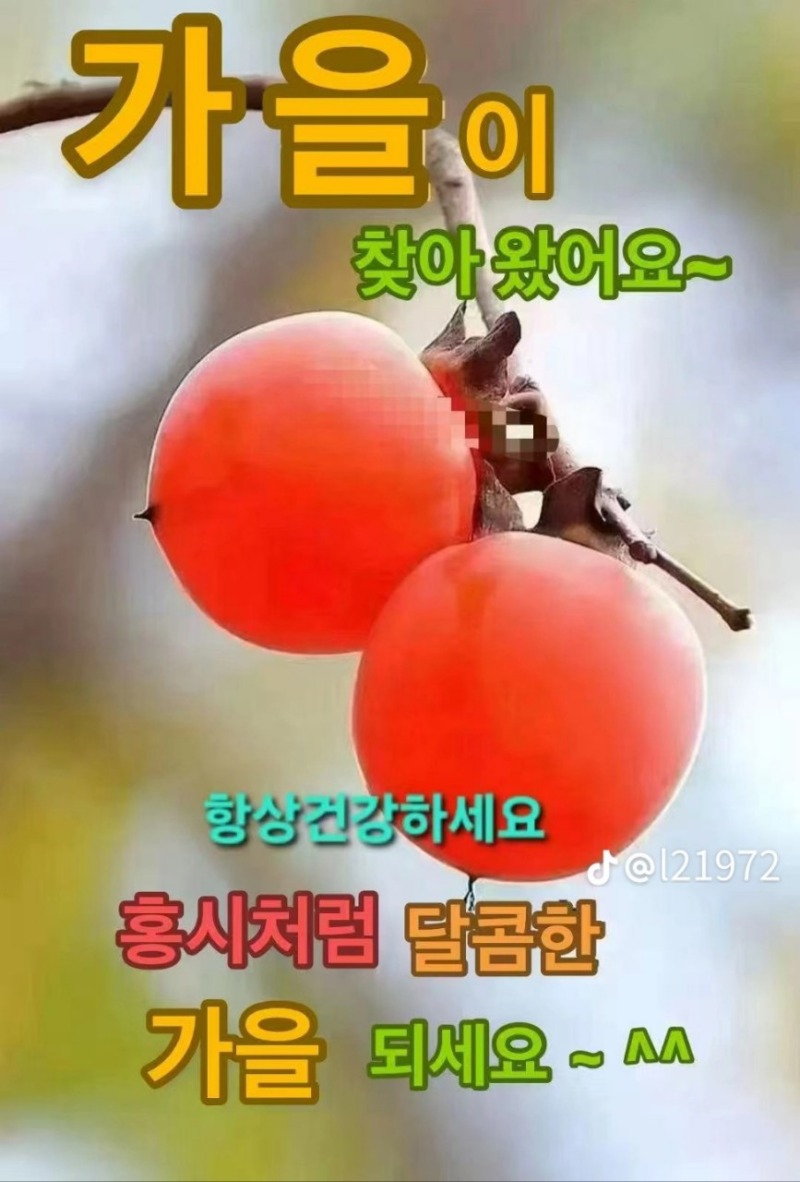 오늘도 마무리도 화이팅!