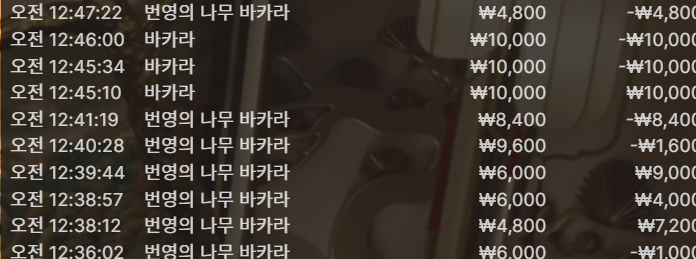문카지노 후기