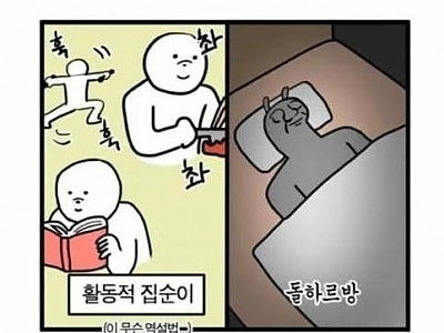 집순이도 차이가 있다.jpg