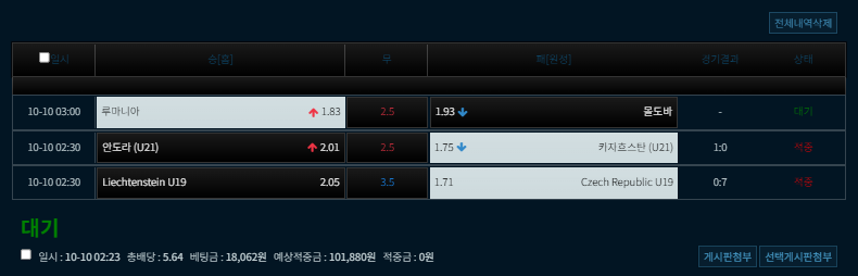 루마니아 오버까지 ㅅㅅ