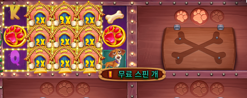 개집 멀티 맥스영상... [퍼왔어요]